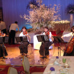 ヴァイオリンやチェロ、弦楽器の出張生演奏。弦楽カルテットの出張生演奏。音楽の広場